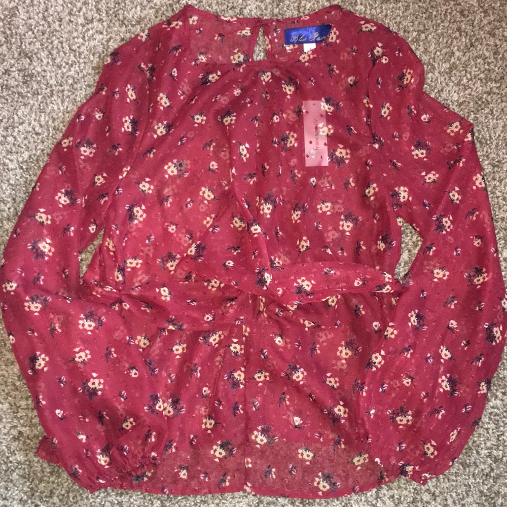 NWT Sheer Blouse from Francesca’s Small